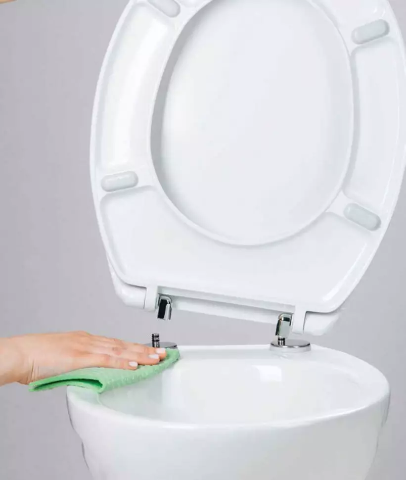 VITRA Toalete: Caracteristici de toalete turcești suspendate și furioase, revizuirea modelelor Zentrum și Sento, Arkitekt Corner Toaletă cu capac și outdoor Serenada, recenzii 10522_34