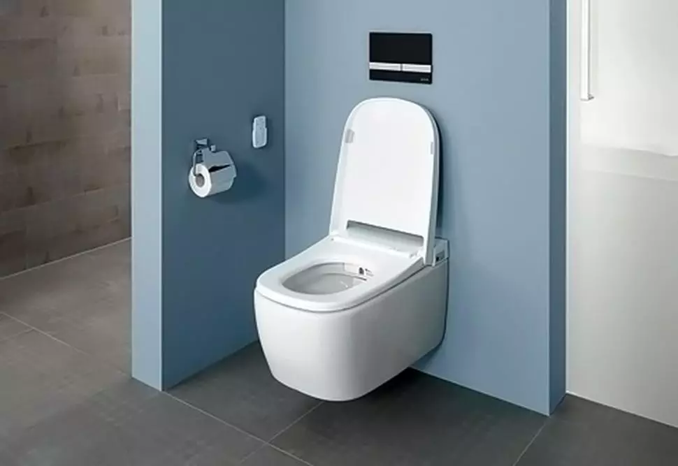 VITRA WC-k: A felfüggesztett és dühös török ​​toalettek jellemzői, a modellek Zentrum és Sento, Arkitekt sarok WC fedéllel és kültéri Serenada, Vélemények 10522_4