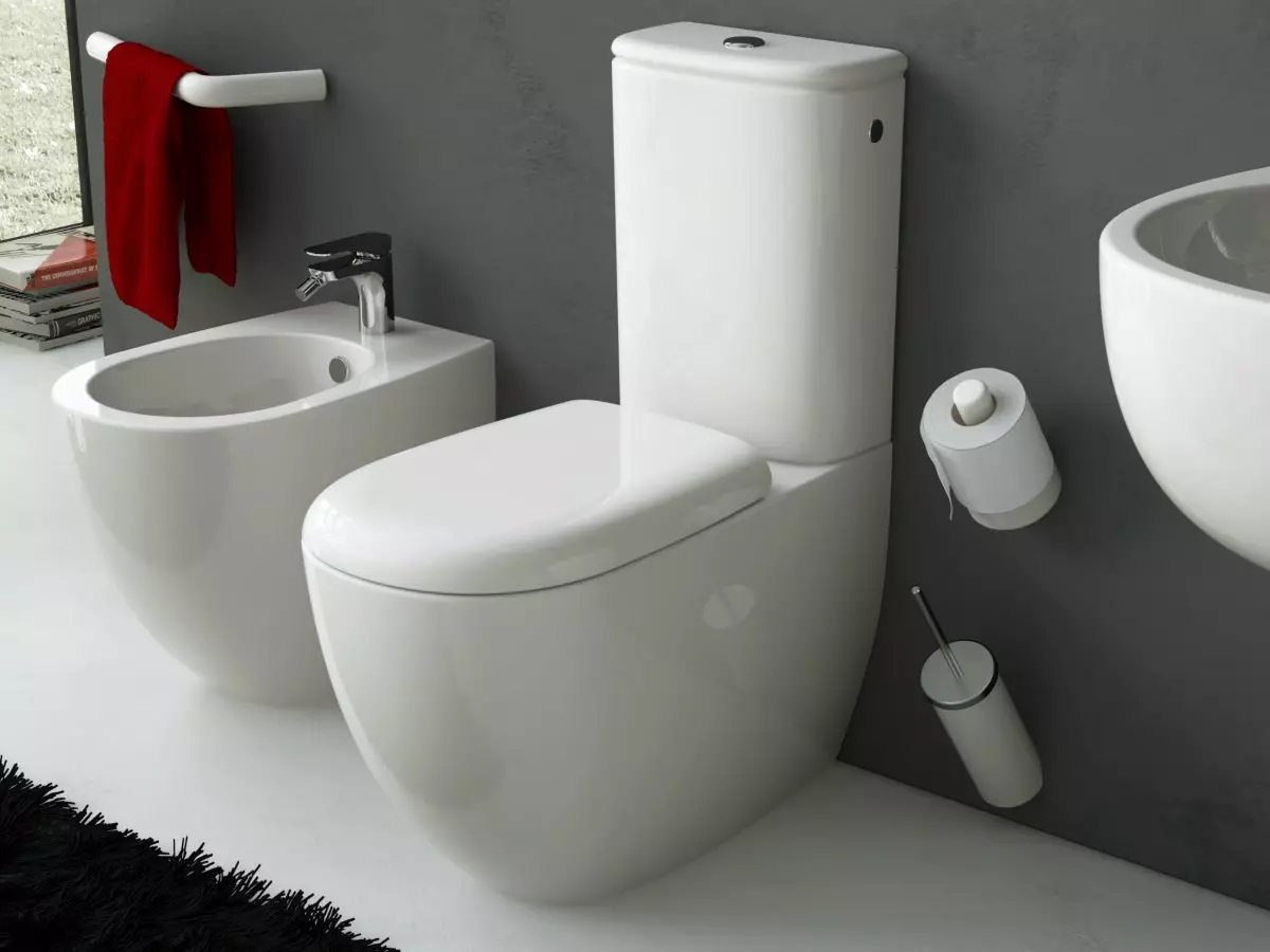 Bowl toilet kanthi ngeculake oblique: ngimpor unitaz-kompak, pojok edisi, jamban kompak kabel lan model liyane sing diluncurake 10523_24