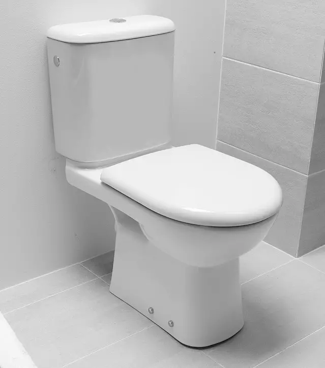 Bowl toilet kanthi ngeculake oblique: ngimpor unitaz-kompak, pojok edisi, jamban kompak kabel lan model liyane sing diluncurake 10523_31