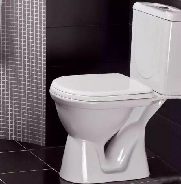 Bowl toilet kanthi ngeculake oblique: ngimpor unitaz-kompak, pojok edisi, jamban kompak kabel lan model liyane sing diluncurake 10523_32