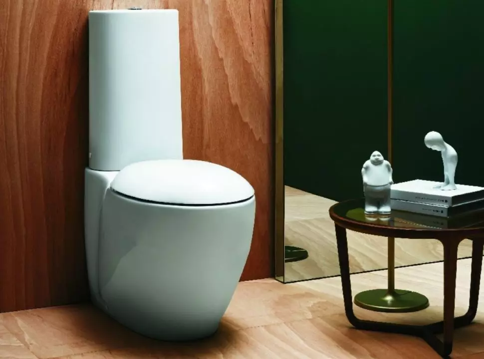 Bowl toilet kanthi ngeculake oblique: ngimpor unitaz-kompak, pojok edisi, jamban kompak kabel lan model liyane sing diluncurake 10523_34