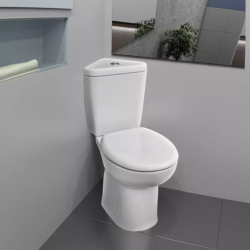 Bowl toilet kanthi ngeculake oblique: ngimpor unitaz-kompak, pojok edisi, jamban kompak kabel lan model liyane sing diluncurake 10523_8