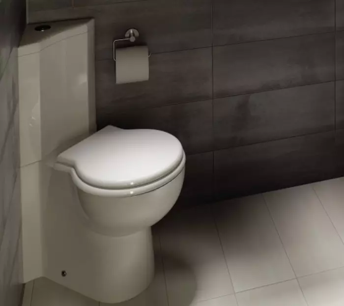 Bowl toilet kanthi ngeculake oblique: ngimpor unitaz-kompak, pojok edisi, jamban kompak kabel lan model liyane sing diluncurake 10523_9