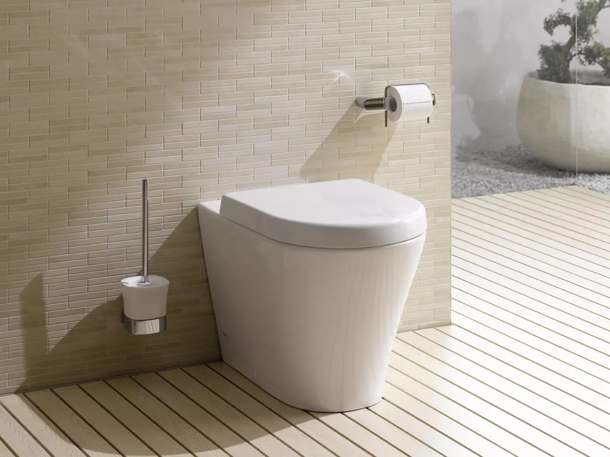 Моќен тоалет тоалет (40 фотографии): Карактеристики на единици за подот до носење со скриен резервоарот, преглед на скратени модели и тоалетни чинии со полица во сад 10525_12