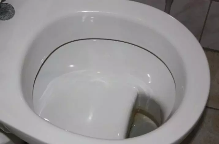 Toilet Power Toilet (40 Foto): Fitur unit lantai-ke-wear dengan tangki tersembunyi, ikhtisar model pendek dan mangkuk toilet dengan rak dalam mangkuk 10525_15