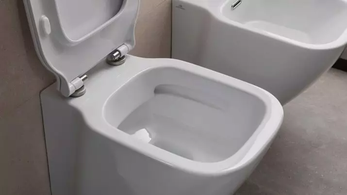 Toilet Power Toilet (40 Foto): Fitur unit lantai-ke-wear dengan tangki tersembunyi, ikhtisar model pendek dan mangkuk toilet dengan rak dalam mangkuk 10525_16