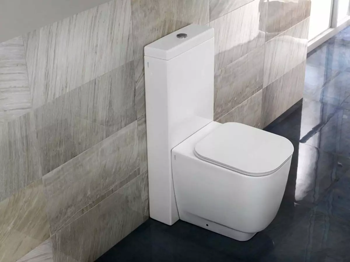 Power Toilette Toilette (40 Fotos): Eigenschaften von Boden-to-wear-Einheiten mit einem versteckten Behälter, Überblick über verkürzte Modelle und Toilettenschüsseln mit einem Regal in einer Schüssel 10525_2