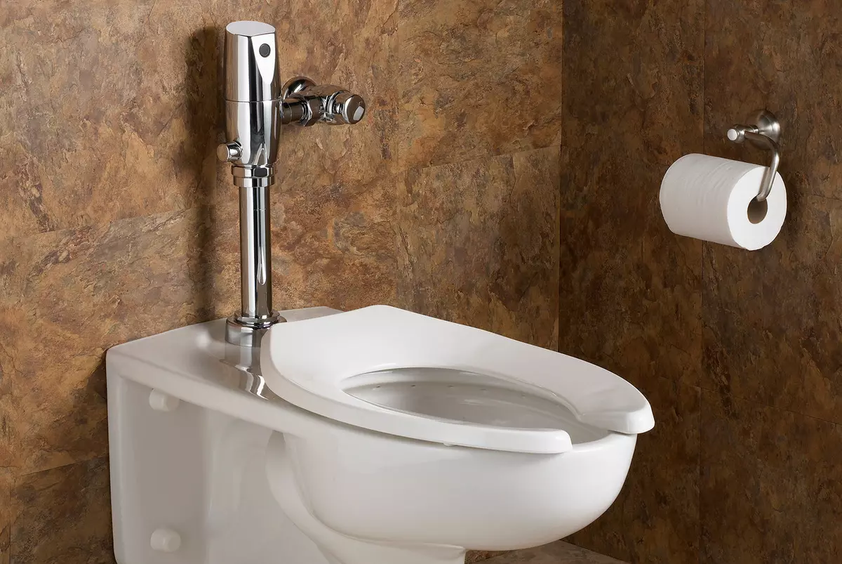 Моќен тоалет тоалет (40 фотографии): Карактеристики на единици за подот до носење со скриен резервоарот, преглед на скратени модели и тоалетни чинии со полица во сад 10525_23