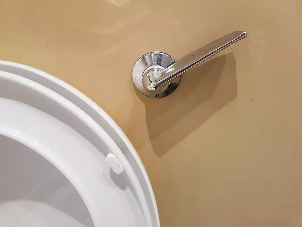 電動衛生間廁所（40張照片）：帶隱形坦克的落地設備的特點，封閉式型號和衛生間碗，碗裡有一塊擱板 10525_24