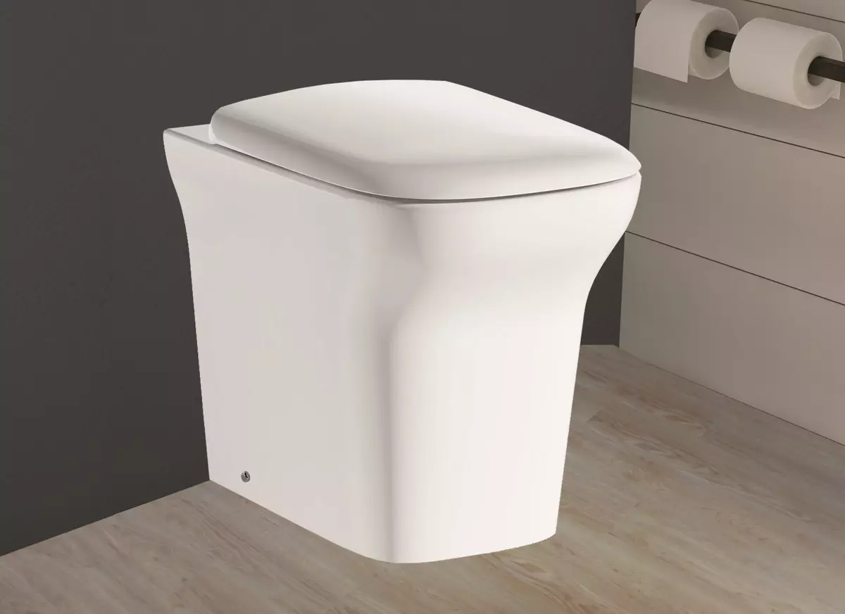 Моќен тоалет тоалет (40 фотографии): Карактеристики на единици за подот до носење со скриен резервоарот, преглед на скратени модели и тоалетни чинии со полица во сад 10525_27
