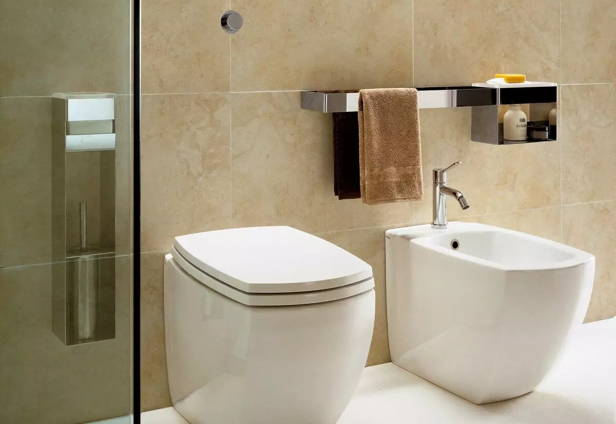 Sila WC (40 fotografií): Charakteristiky podlahových jednotiek s skrytou nádržou, prehľad o skrátených modeloch a toaletných miskách s poličkou v miske 10525_32