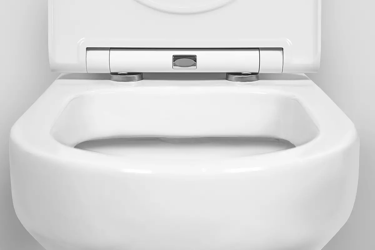 Toilet Power Toilet (40 Foto): Fitur unit lantai-ke-wear dengan tangki tersembunyi, ikhtisar model pendek dan mangkuk toilet dengan rak dalam mangkuk 10525_36