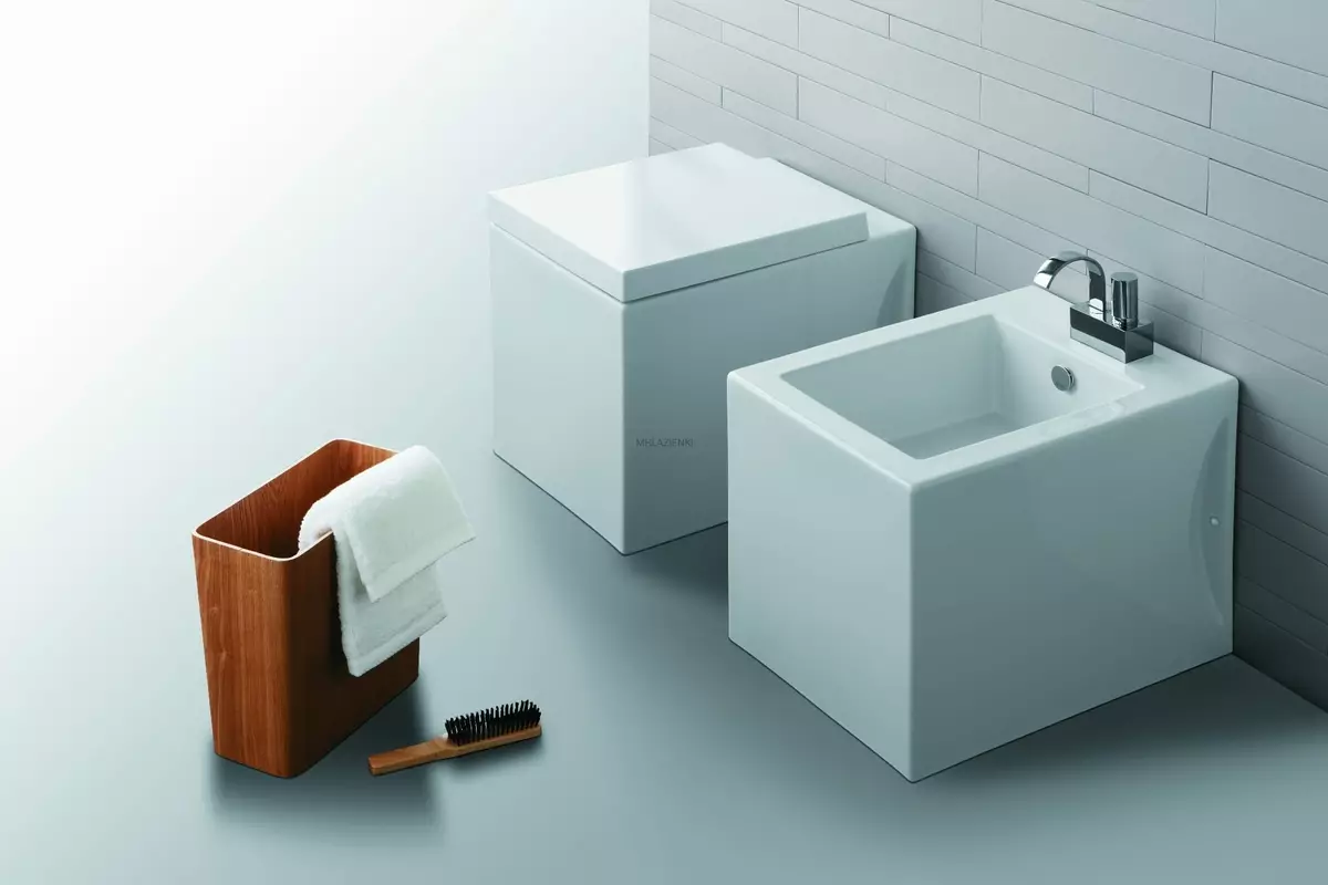 Моќен тоалет тоалет (40 фотографии): Карактеристики на единици за подот до носење со скриен резервоарот, преглед на скратени модели и тоалетни чинии со полица во сад 10525_39