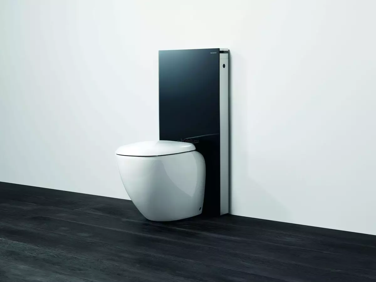 Power Toilet Toilet (40 foto's): Kenmerken van vloer-to-wear-eenheden met een verborgen tank, overzicht van verkorte modellen en wc-kommen met een plank in een kom 10525_40