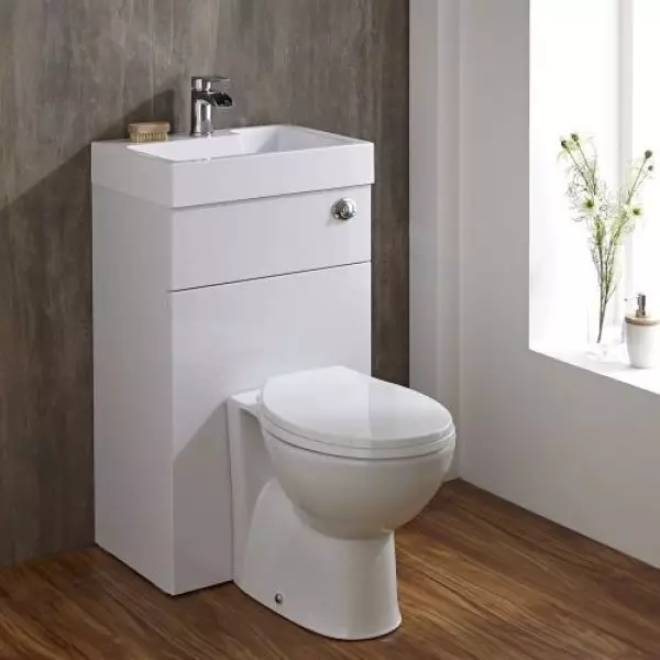 Toilette Schësselcher op engem Tank: Den Design vun der kombinéierter Toilett Schuel mat engem Washbasin. Setzt 2 an 1 mat agebaute ënnerzegoen an zéien, aner Modeller vu Comboen 10526_15