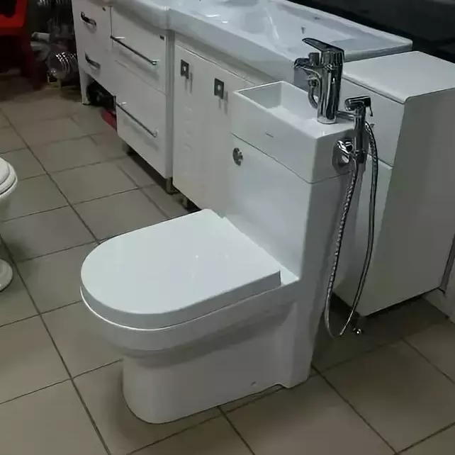 Bowls de toaletă pe un rezervor: Designul vasului de toaletă combinat cu o chiuvetă. Set 2 în 1 cu chiuveta încorporată și tumb, alte modele de combos 10526_20