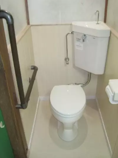 Toiletbakken op een tank: het ontwerp van de gecombineerde toiletkom met een wastafel. Set 2 in 1 met ingebouwde gootsteen en tumb, andere modellen van combo's 10526_23