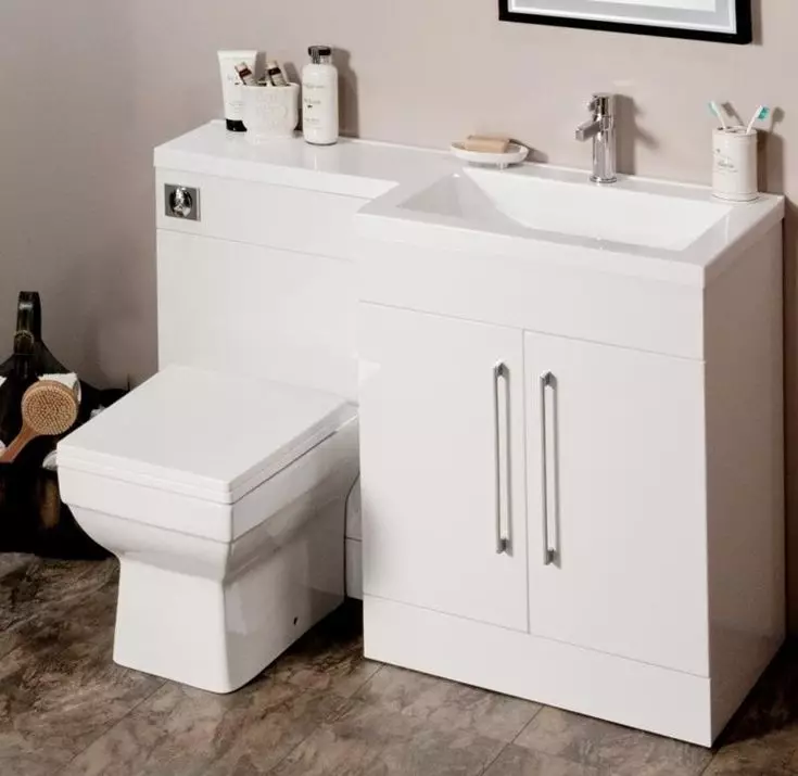 Ciotole da toilette su un serbatoio: il design della tazza igienica combinata con un lavabo. Set 2 in 1 con lavello integrato e Tummb, altri modelli di combo 10526_27