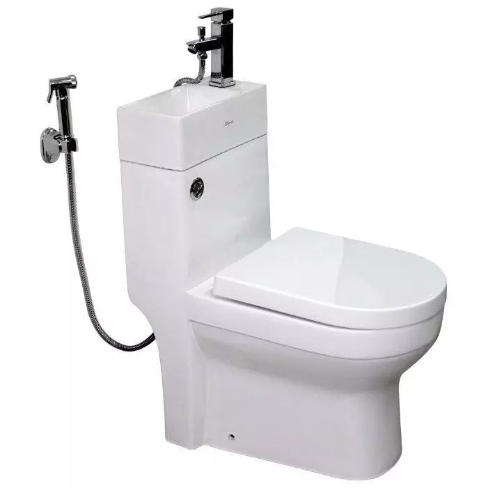 Bastet e tualetit në një tank: dizajnin e tas së tualetit të kombinuar me një lavaman. Set 2 në 1 me lavaman të integruar dhe tumba, modele të tjera të combos 10526_28