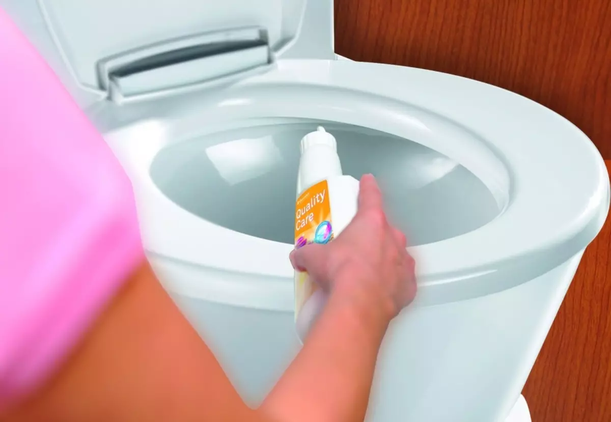Ciotole da toilette su un serbatoio: il design della tazza igienica combinata con un lavabo. Set 2 in 1 con lavello integrato e Tummb, altri modelli di combo 10526_36
