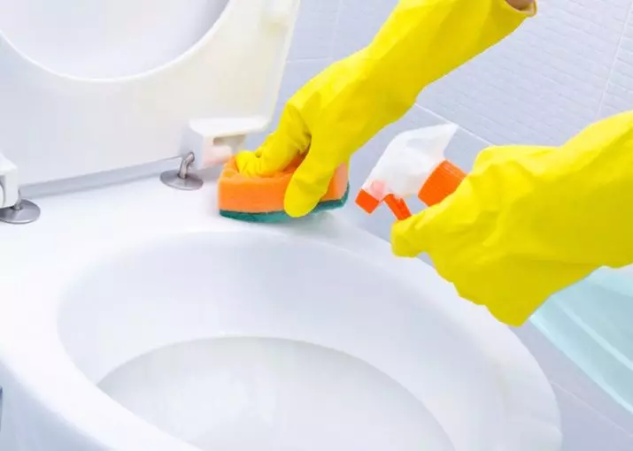 Bowls de toaletă pe un rezervor: Designul vasului de toaletă combinat cu o chiuvetă. Set 2 în 1 cu chiuveta încorporată și tumb, alte modele de combos 10526_42