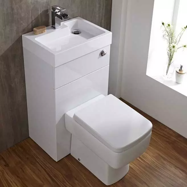 Tualeto dubenys ant bako: kombinuoto tualeto dubenio dizainas su praustuvu. Nustatykite 2 į 1 su įmontuotu kriaukle ir trumg, kiti modeliai Combo 10526_6