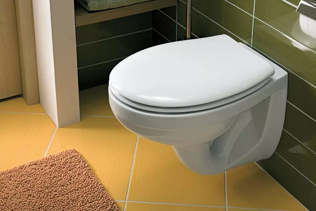 Kolo τουαλέτες: Περιγραφή των αιωρούμενων και τουαλέτες όροφο, στυλ και σόλο, Nova Pro Rimfree και Runa, Idol και άλλα μοντέλα 10529_13