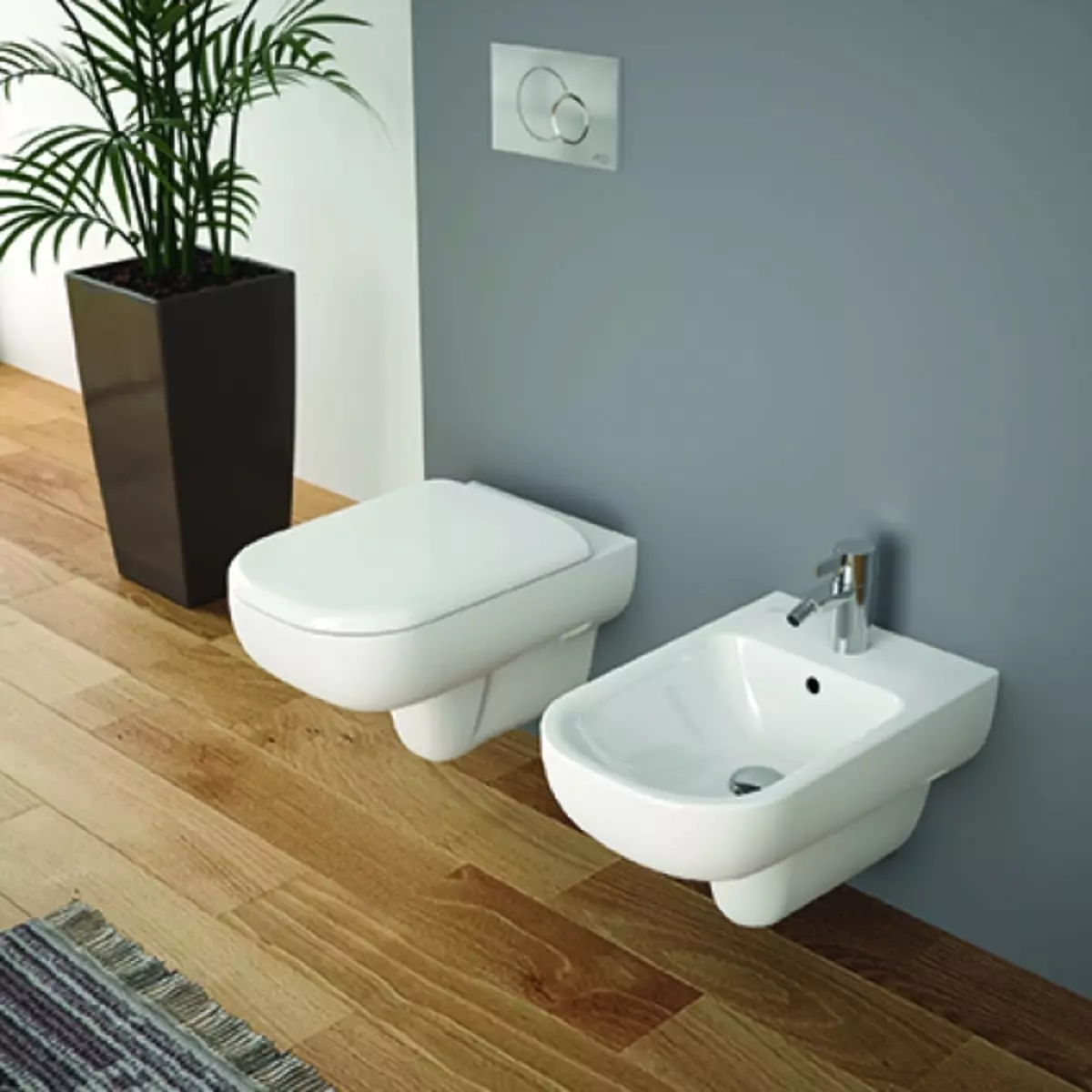 Kolo厕所：悬挂和地板厕所的描述，风格和独奏，Nova Pro Rimfree和Runa，偶像和其他型号 10529_18