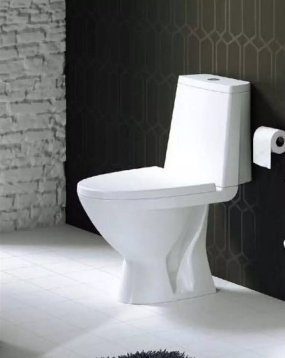 Kolo toilette: Beskrywing van geskors en vloer toilette, Style en Solo, Nova Pro Rimfree en Runa, Idol en ander modelle 10529_21