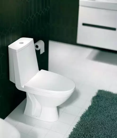 Kolo Toilets: Deskrizzjoni ta 'toilets sospiżi u art, stil u solo, Nova Pro Rimpree u Runa, Idol u Mudelli oħra 10529_22