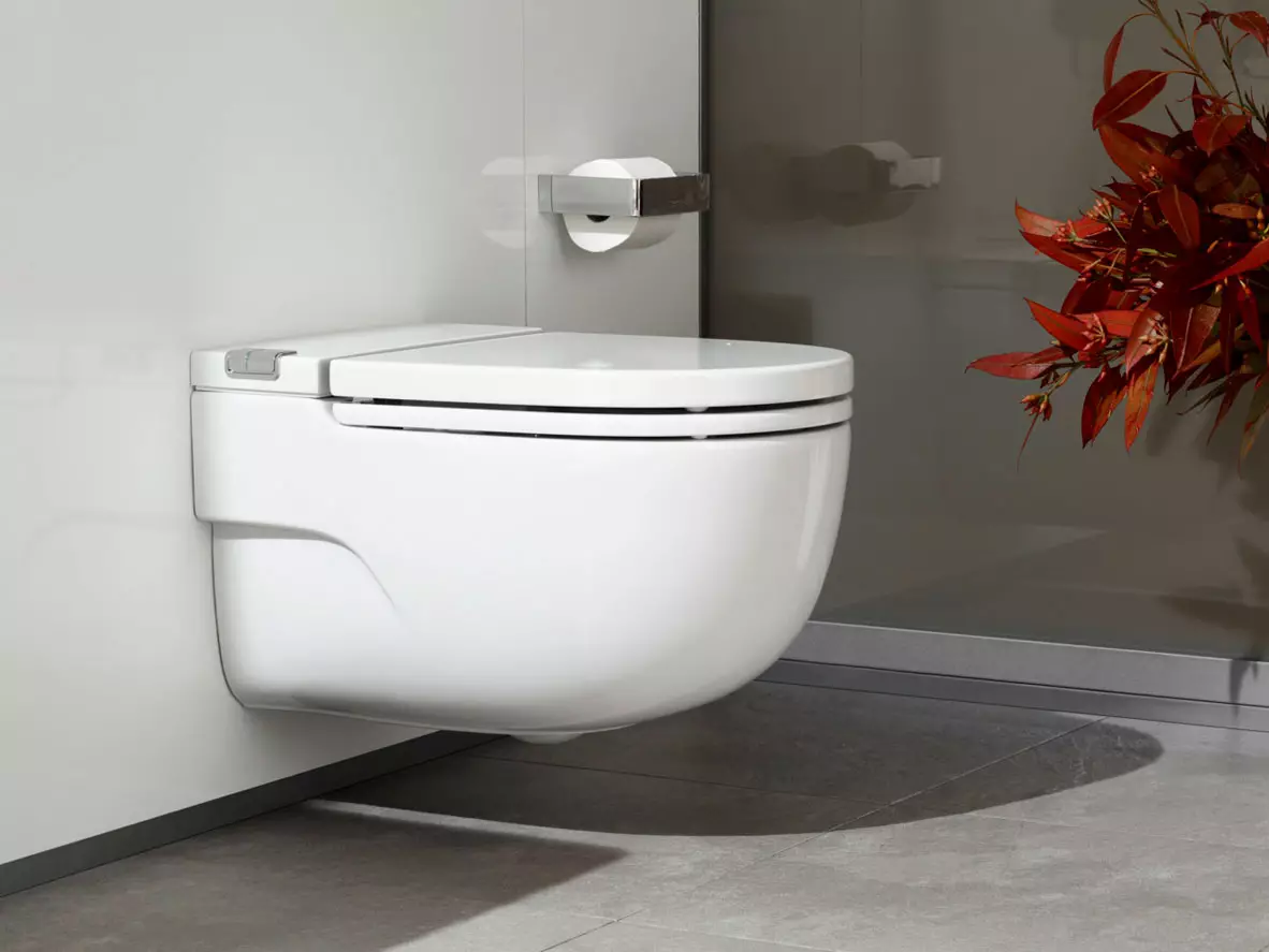 Kolo toilette: Beskrywing van geskors en vloer toilette, Style en Solo, Nova Pro Rimfree en Runa, Idol en ander modelle 10529_23