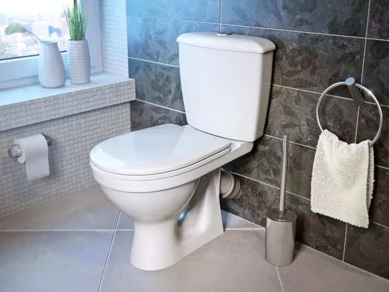 Kolo toilette: Beskrywing van geskors en vloer toilette, Style en Solo, Nova Pro Rimfree en Runa, Idol en ander modelle 10529_24