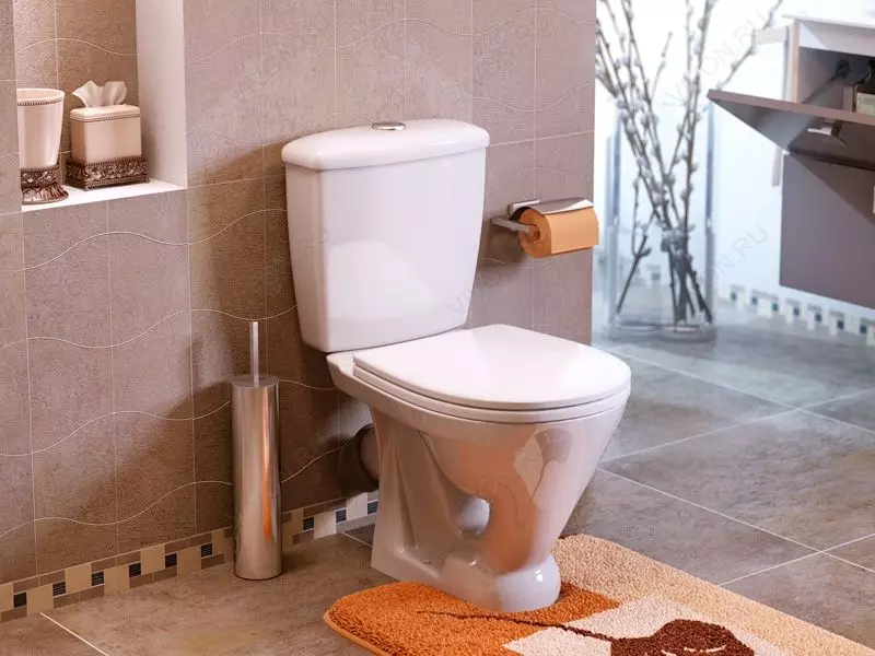 Kolo toilette: Beskrywing van geskors en vloer toilette, Style en Solo, Nova Pro Rimfree en Runa, Idol en ander modelle 10529_25