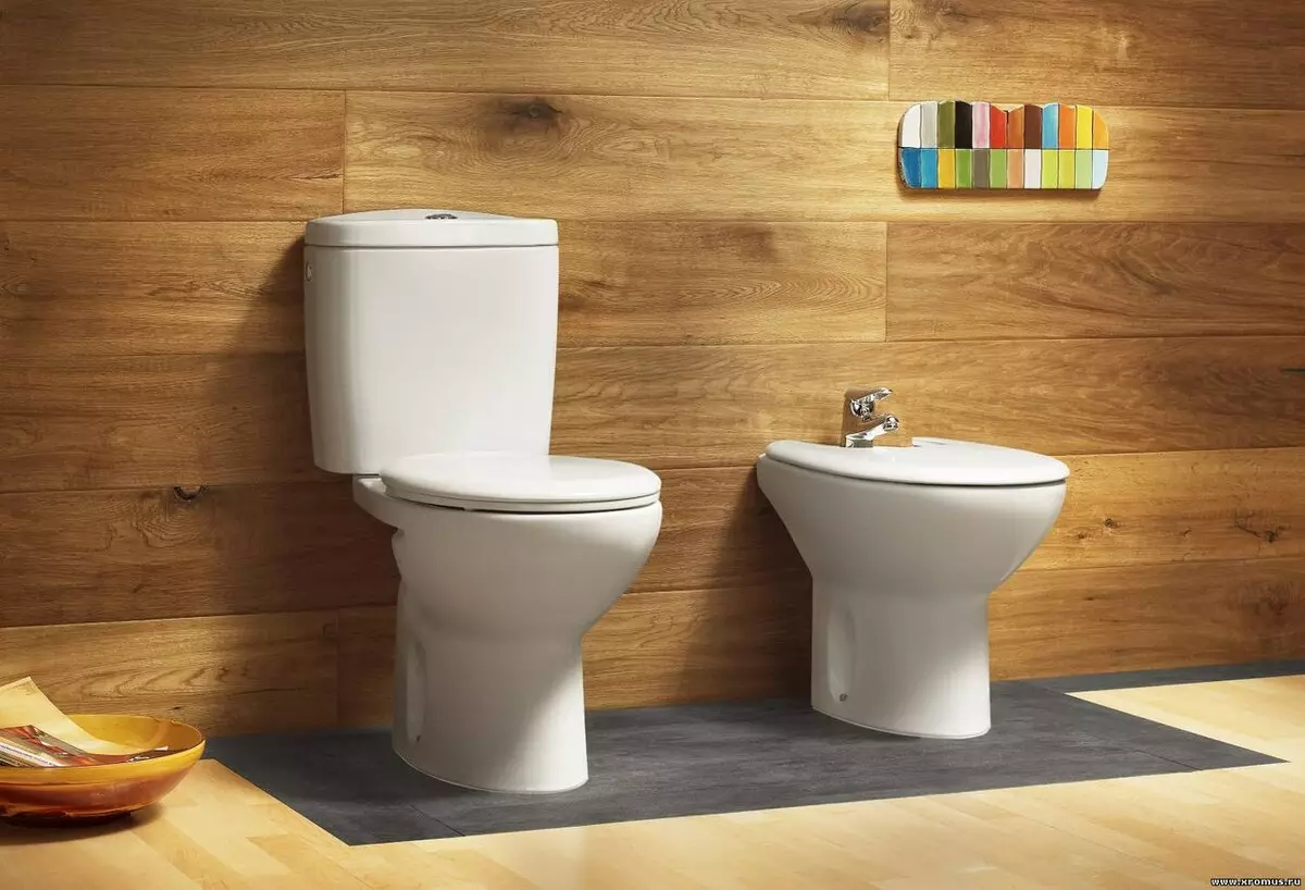 Kolo Toilets: Deskrizzjoni ta 'toilets sospiżi u art, stil u solo, Nova Pro Rimpree u Runa, Idol u Mudelli oħra 10529_26