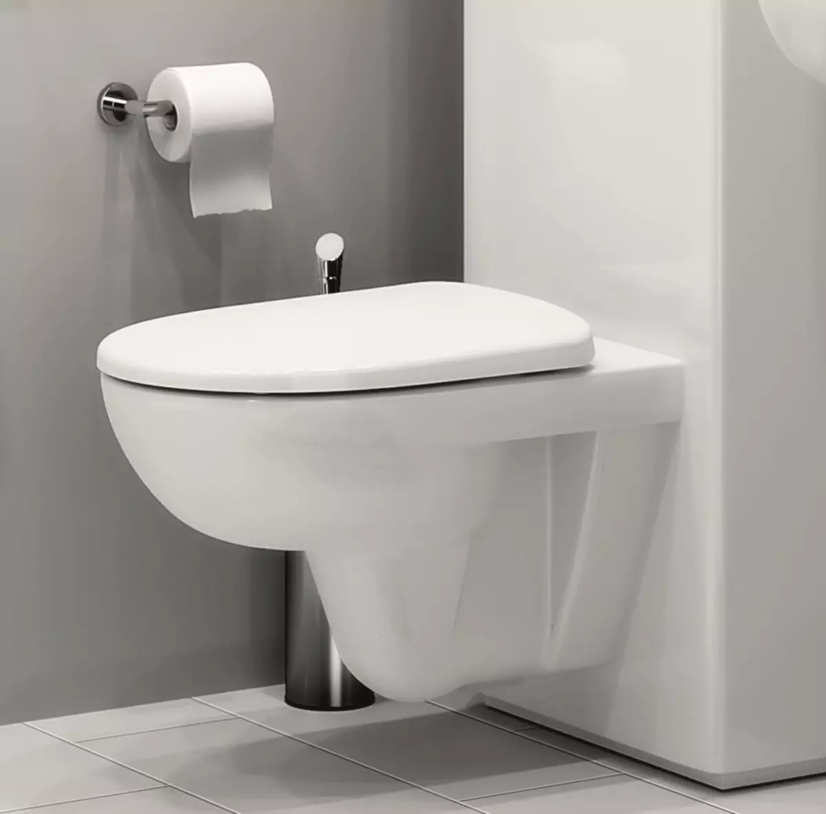 Kolo toilette: Beskrywing van geskors en vloer toilette, Style en Solo, Nova Pro Rimfree en Runa, Idol en ander modelle 10529_3