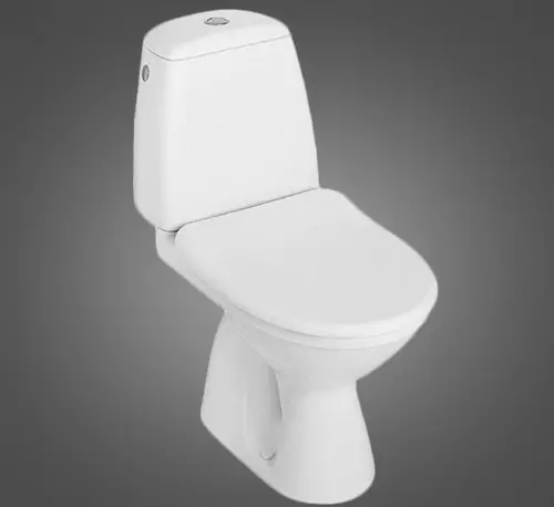 Kolo тоалети: опис на суспендирани и подни тоалети, стил и соло, Нова Про rimfree и runa, идол и други модели 10529_6