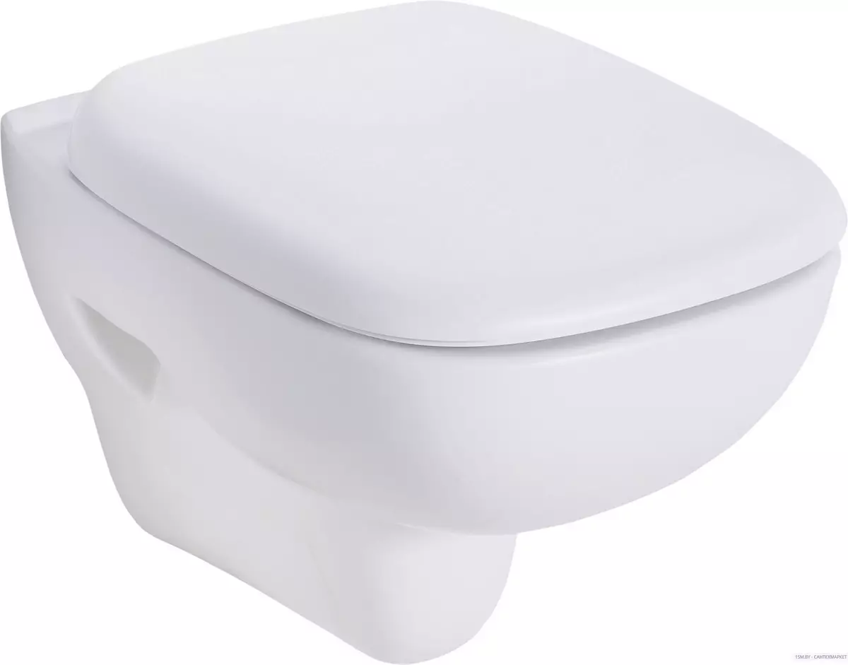 Kolo toilette: Beskrywing van geskors en vloer toilette, Style en Solo, Nova Pro Rimfree en Runa, Idol en ander modelle 10529_8