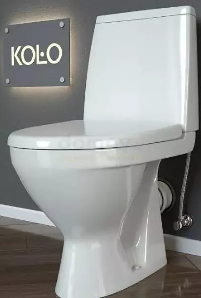 Kolo toilette: Beskrywing van geskors en vloer toilette, Style en Solo, Nova Pro Rimfree en Runa, Idol en ander modelle 10529_9