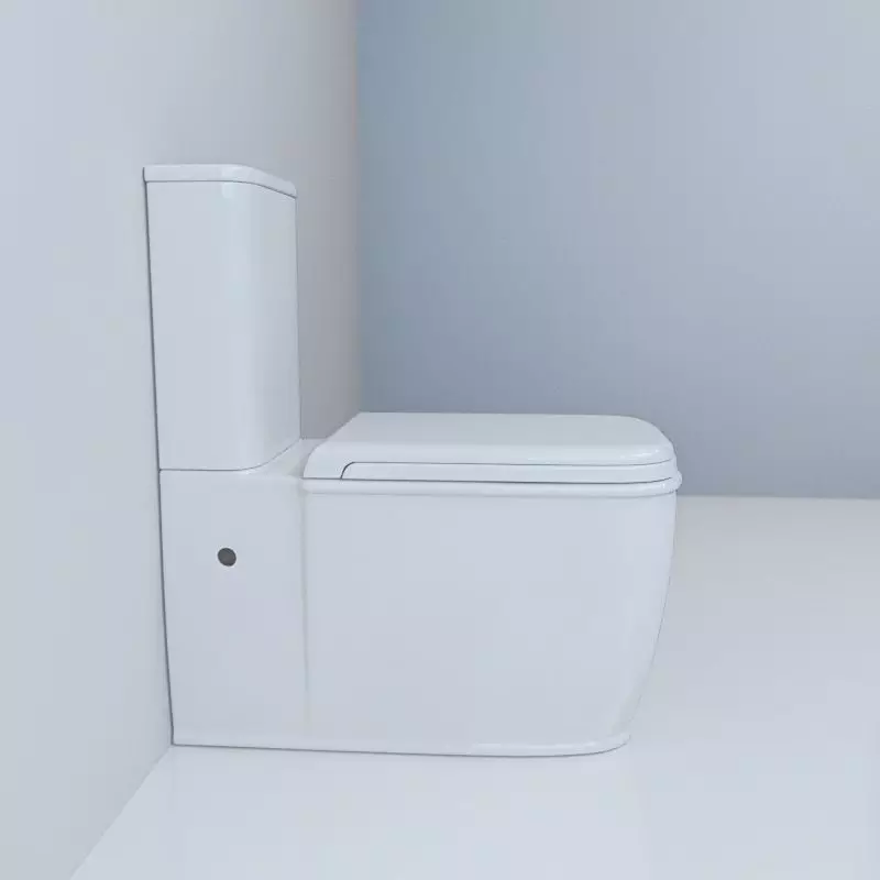 Bearless floor toilet: What models without rim is better? Choosing a toilet bowl with a tank and without it, from porcelain or faience. Rating 10533_10