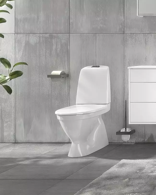 Bearless gulv toalett: Hvilke modeller uten kant er bedre? Å velge en toalettskål med en tank og uten det, fra porselen eller faience. Vurdering 10533_15