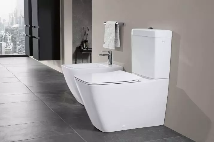 Bearless floor toilet: What models without rim is better? Choosing a toilet bowl with a tank and without it, from porcelain or faience. Rating 10533_19
