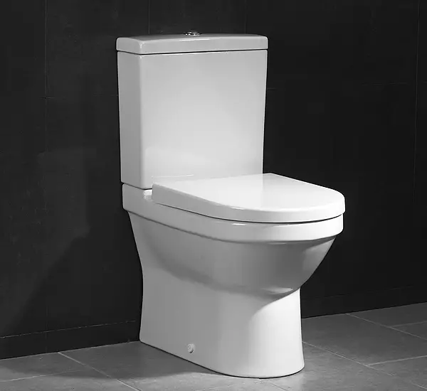 Bearless Golv Toalett: Vilka modeller utan RIM är bättre? Välja en toalettskål med tank och utan det, från porslin eller faience. Betyg 10533_2