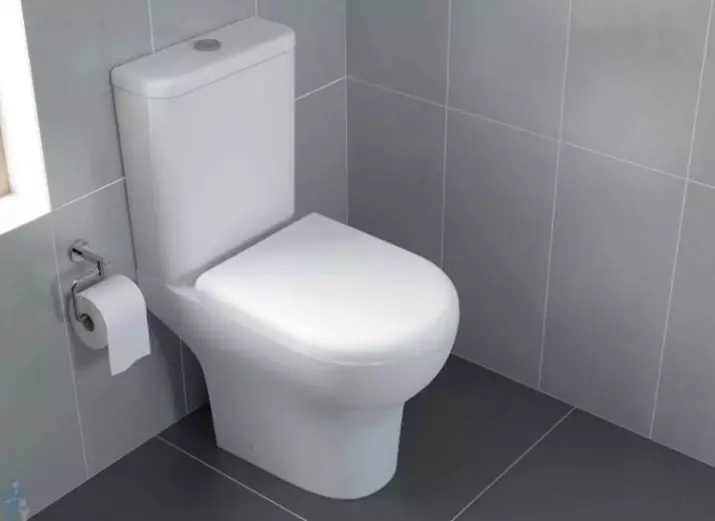 Bezplatné podlahové WC: Aké modely bez ráfika je lepšie? Výber toaletného misky s nádržou a bez neho, z porcelánu alebo férie. Hodnosť 10533_20