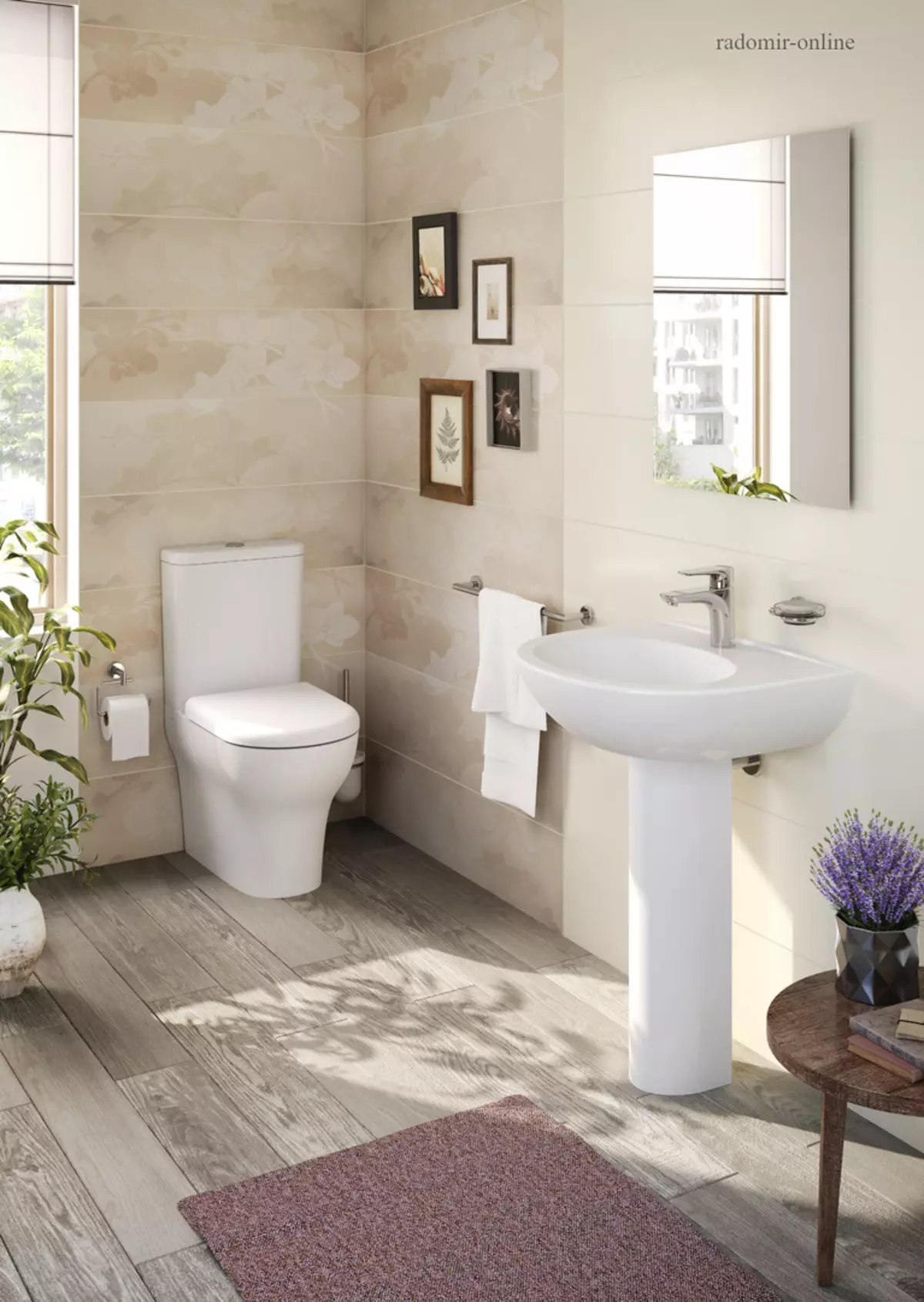 Kaasamatu põranda tualett: millised mudelid ilma veljeta on parem? Parim WC-kaussiga paagiga ja ilma selleta, portselanist või falationist. Hinnang 10533_25