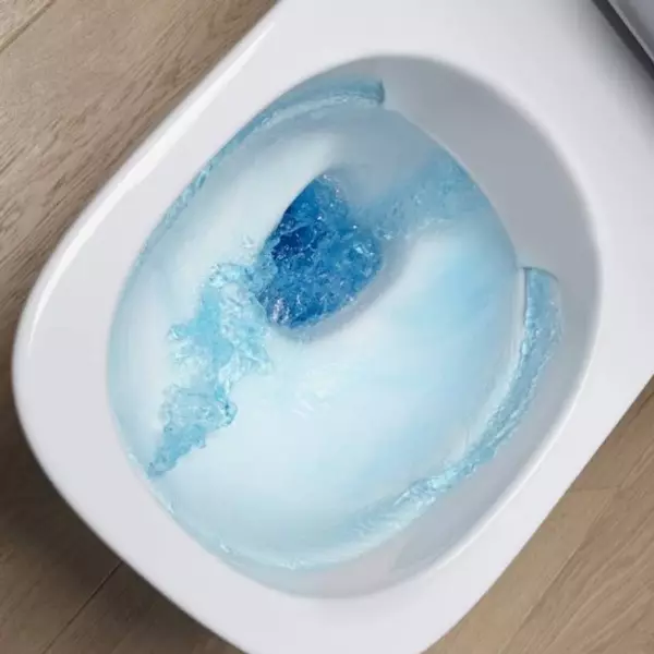 Toilet Lantai Tanpa Bajak: Model apa tanpa pelek lebih baik? Memilih mangkuk toilet dengan tangki dan tanpanya, dari porselen atau makanan. Peringkat 10533_3