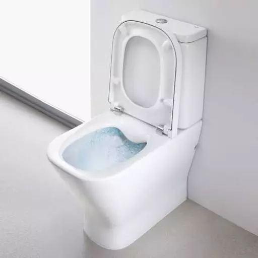 Bearless სართული ტუალეტი: რა მოდელები გარეშე rim უკეთესია? შერჩევა ტუალეტის თასი სატანკო და მის გარეშე, ფაიფური ან Faime. რეიტინგი 10533_31