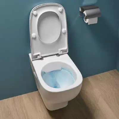 Bearless floor toilet: What models without rim is better? Choosing a toilet bowl with a tank and without it, from porcelain or faience. Rating 10533_33