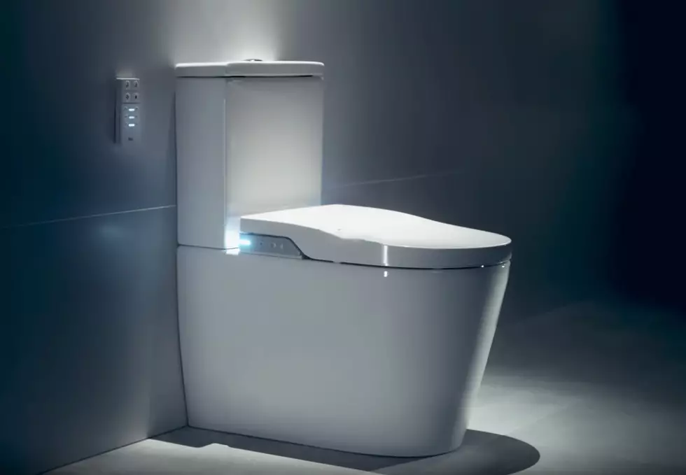 Bearless gulv toalett: Hvilke modeller uten kant er bedre? Å velge en toalettskål med en tank og uten det, fra porselen eller faience. Vurdering 10533_5