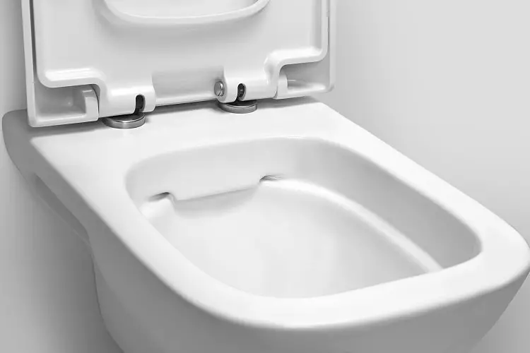 Bearless gulv toalett: Hvilke modeller uten kant er bedre? Å velge en toalettskål med en tank og uten det, fra porselen eller faience. Vurdering 10533_7